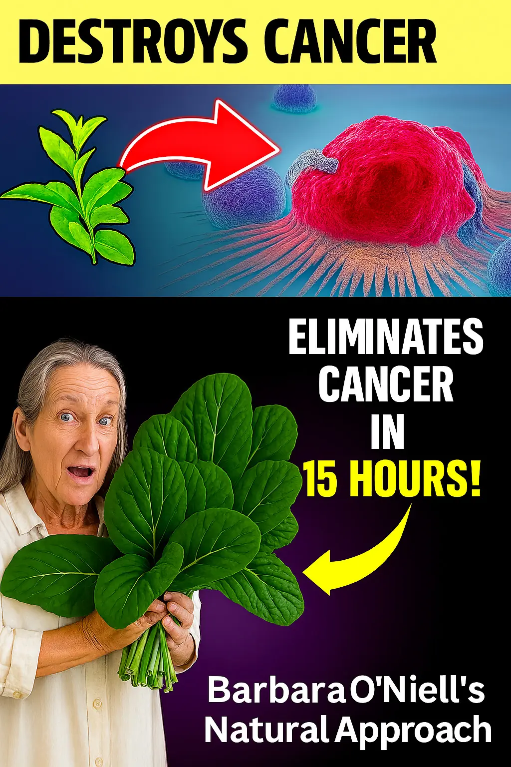 The Leaf That Fights Cancer: A Revealing Natural Approach
