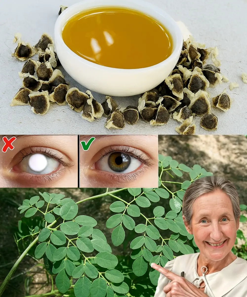 Moringa Seeds: The Tiny Powerhouses Transforming Your Health