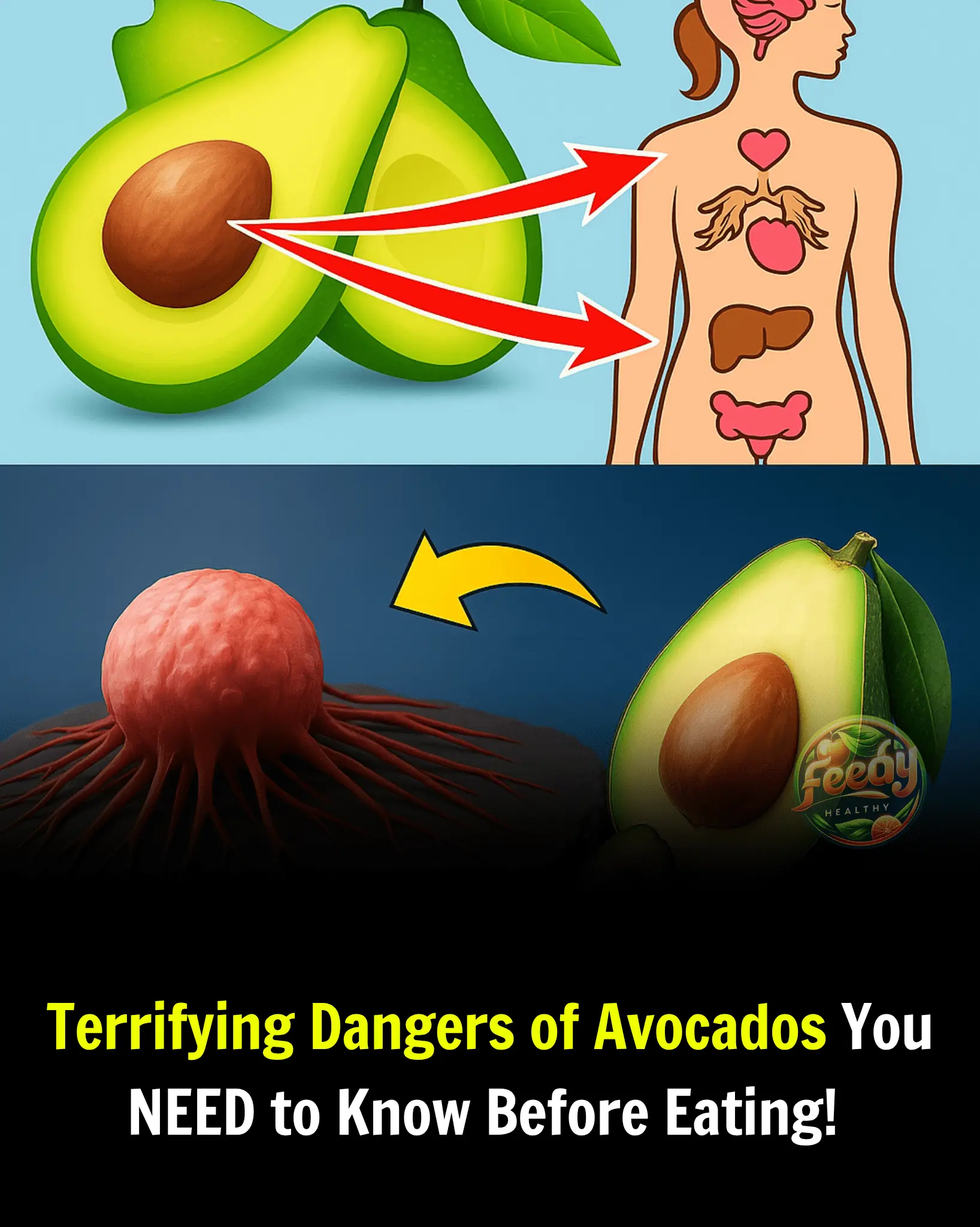 Shocking Avocado Dangers You NEED to Know Before Your Next Bite! Could One Fruit Trigger Irreversible Harm?