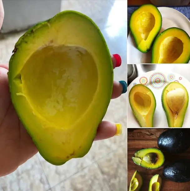 The Benefits of Avocado: Why You Should Include It in Your Daily Diet
