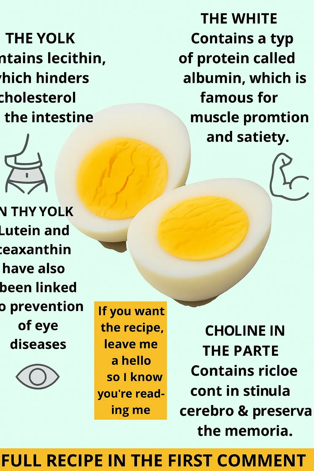 The Benefits of Eggs for Health and Their Importance in Fibromyalgia