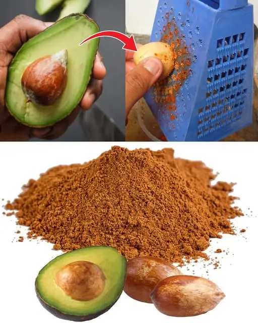 Never Throw Away the Avocado Pit Again! Discover Its Benefits and Uses