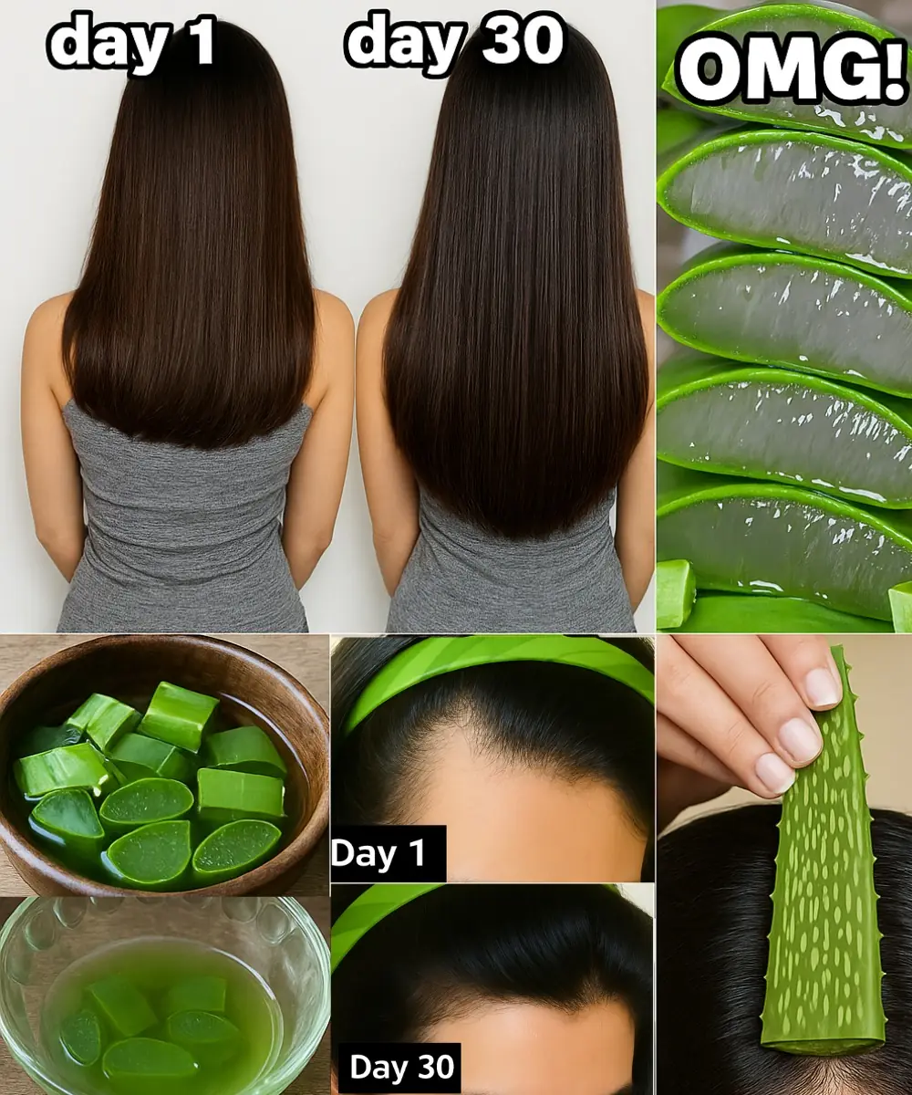 Unlock the Secret to Luscious, Long Hair: The Ultimate Aloe Vera Hair Oil Revolution