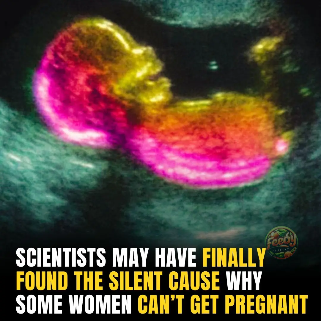 Scientists Found The Hidden Factor Behind the Global Infertility Crisis, And It’s Terrifying