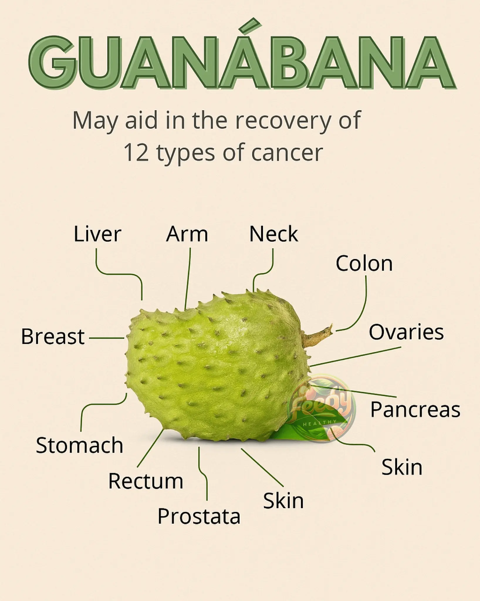 Soursop: A Miraculous Fruit to Strengthen Your Cellular Health