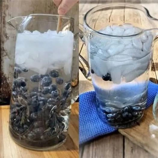Blueberry Water: A Refreshing Drink That Loves You Back