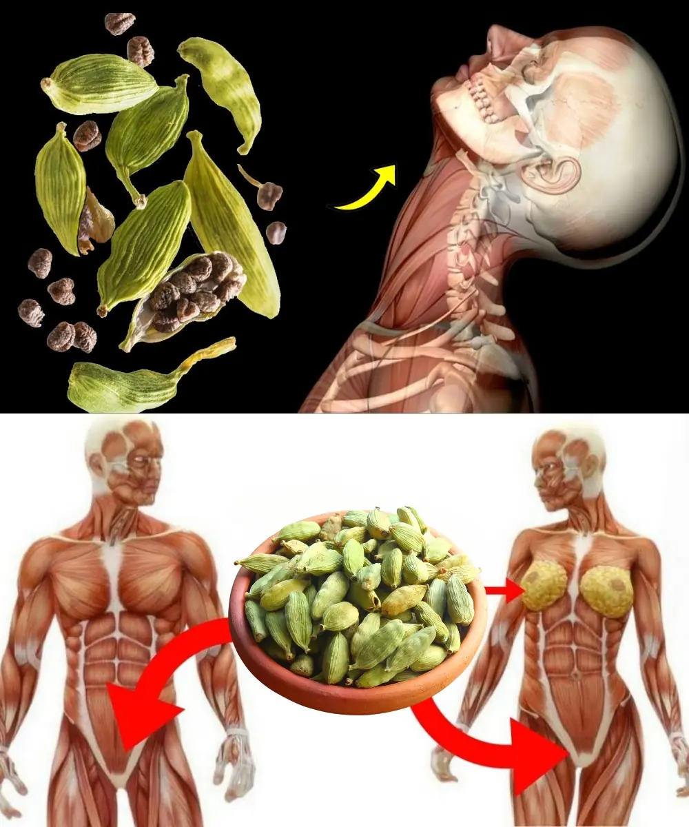What Happens to Your Body When You Add Cardamom to Your Food Every Day