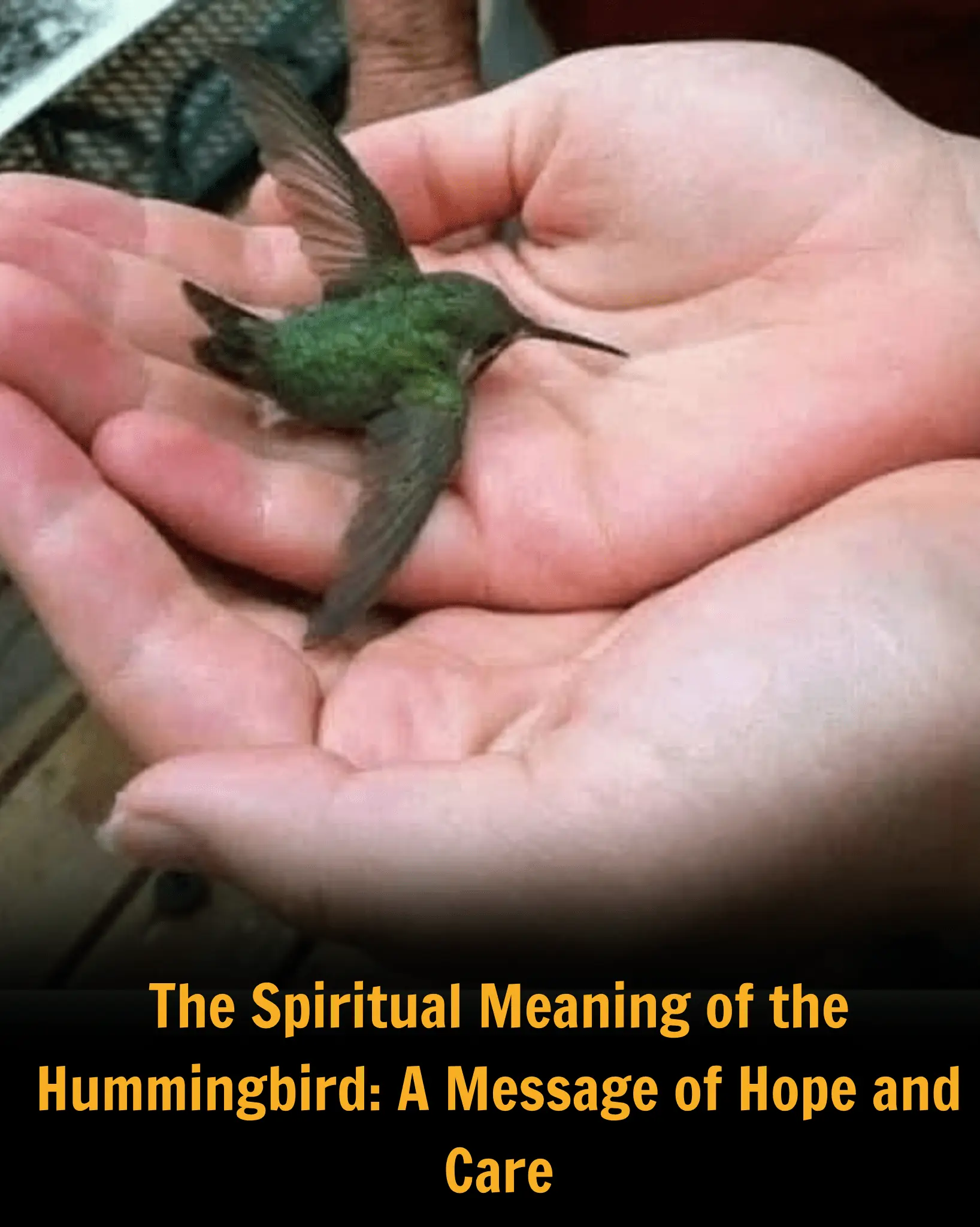 The Spiritual Meaning of the Hummingbird: A Message of Hope and Care