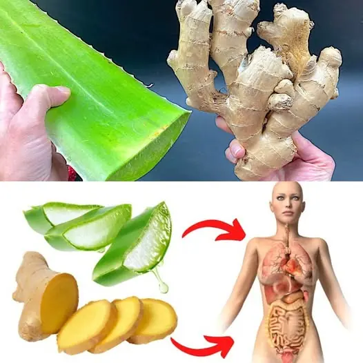Just Add Bay Leaves and Salt – Stop Wasting Money at the Pharmacy! (Did You Know This?)