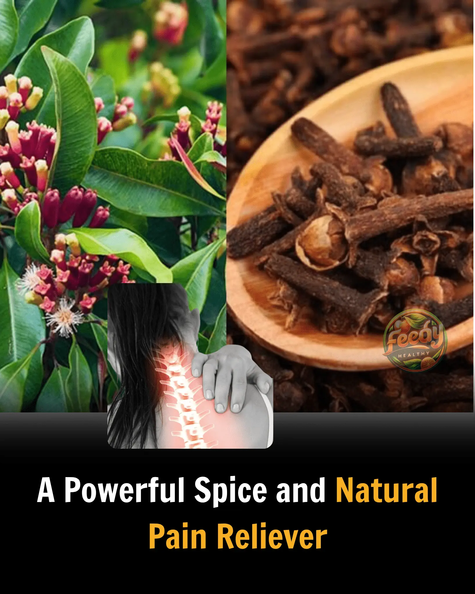 Clove: A Powerful Spice and Natural Pain Reliever
