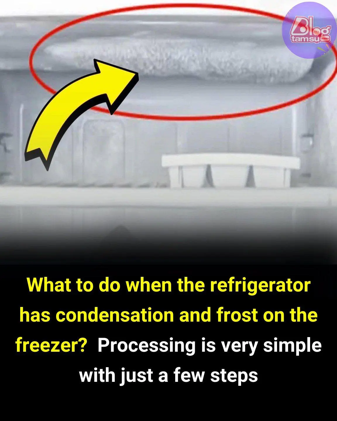 What to Do When Your Refrigerator Has Condensation and Frost in the Freezer