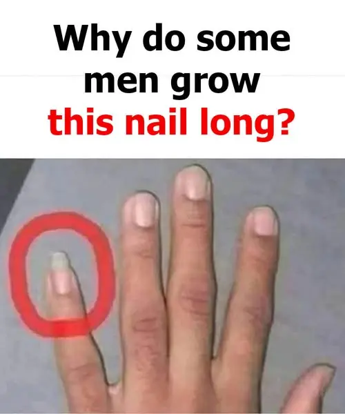 Why Do Some Men Keep Their Pinky Fingernail Long? The Hidden Meaning Behind a Tiny Tradition