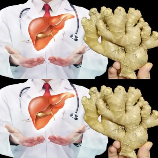 Cleanses Liver and Lungs – Grandma’s Ginger Recipe! 🫁🌿
