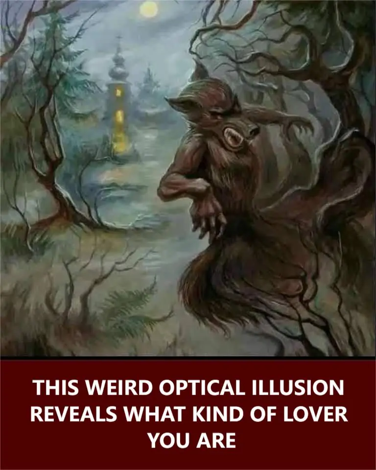 Optical illusion reveals what kind of lover you are