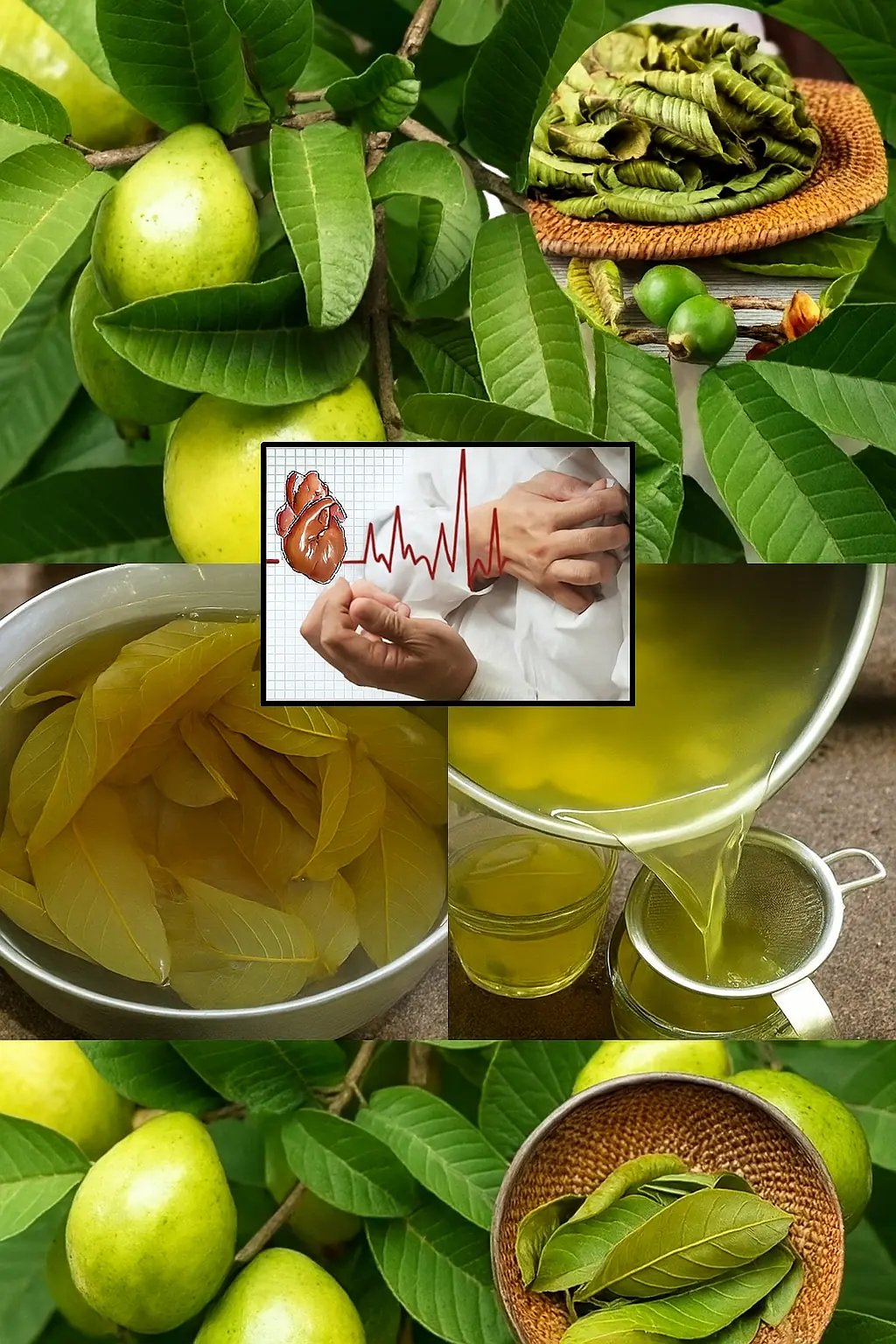 Unveil the Power of Guava Leaf Tea: Your Secret to Vibrant Health
