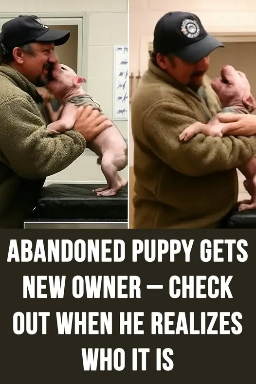 Abandoned puppy gets new owner – check out when he realizes who it is