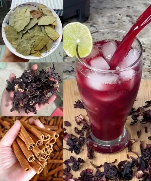The Refreshing Combination of Hibiscus, Bay Leaf, and Cinnamon: Benefits and Recipe for Women