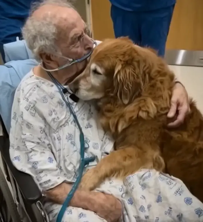 He Kept Whispering “Murphy”… But None Of Us Knew Who That Was