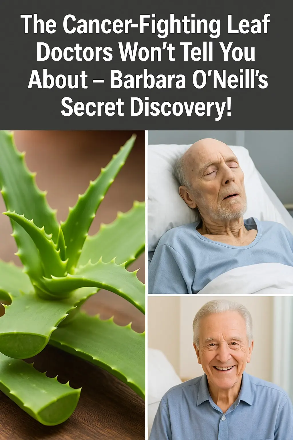 A Natural Path to Healing: Barbara O’Neill’s Holistic Approach to Cancer Support