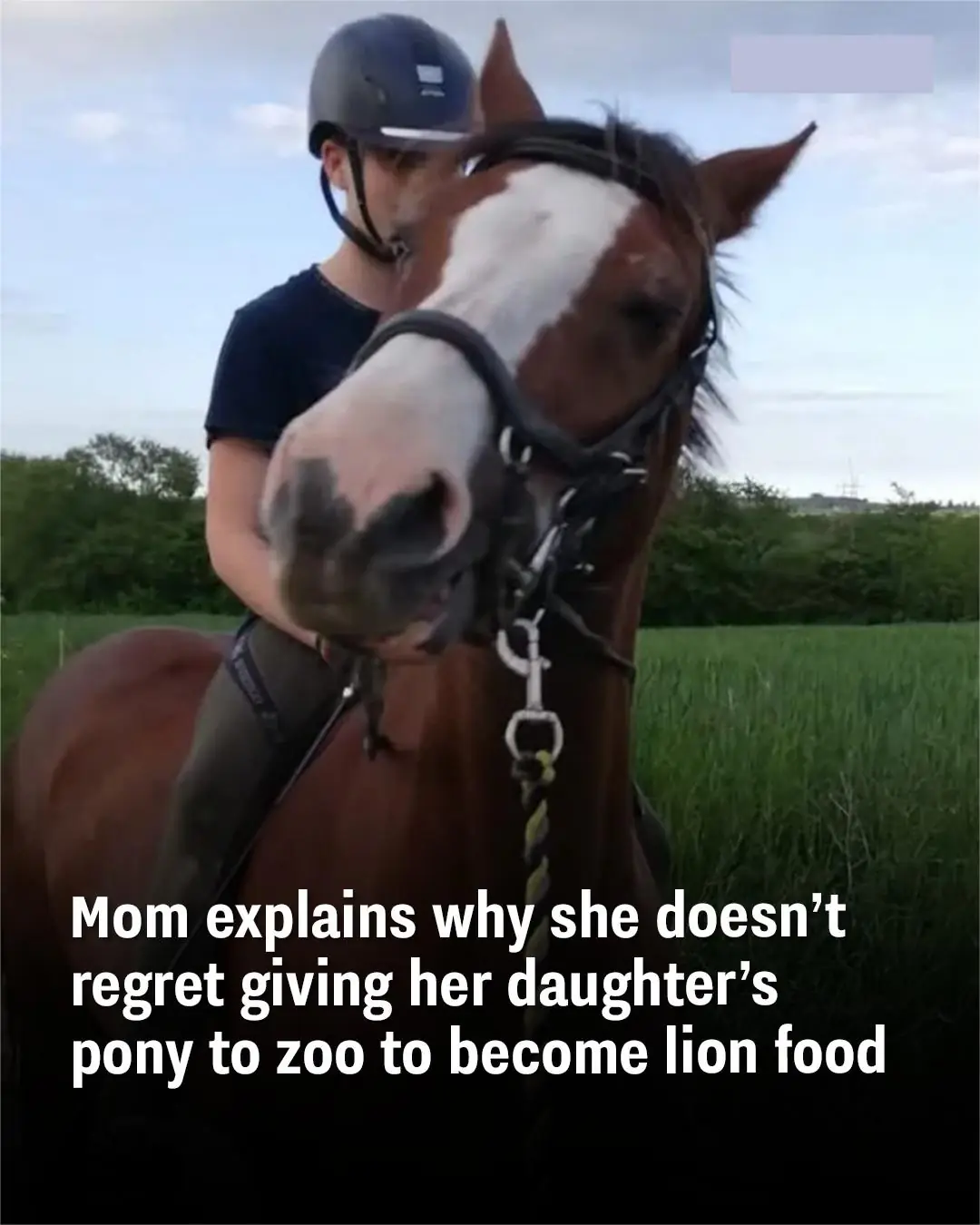 Mom explains why she doesn’t regret giving her daughter’s pony to zoo to become lion food