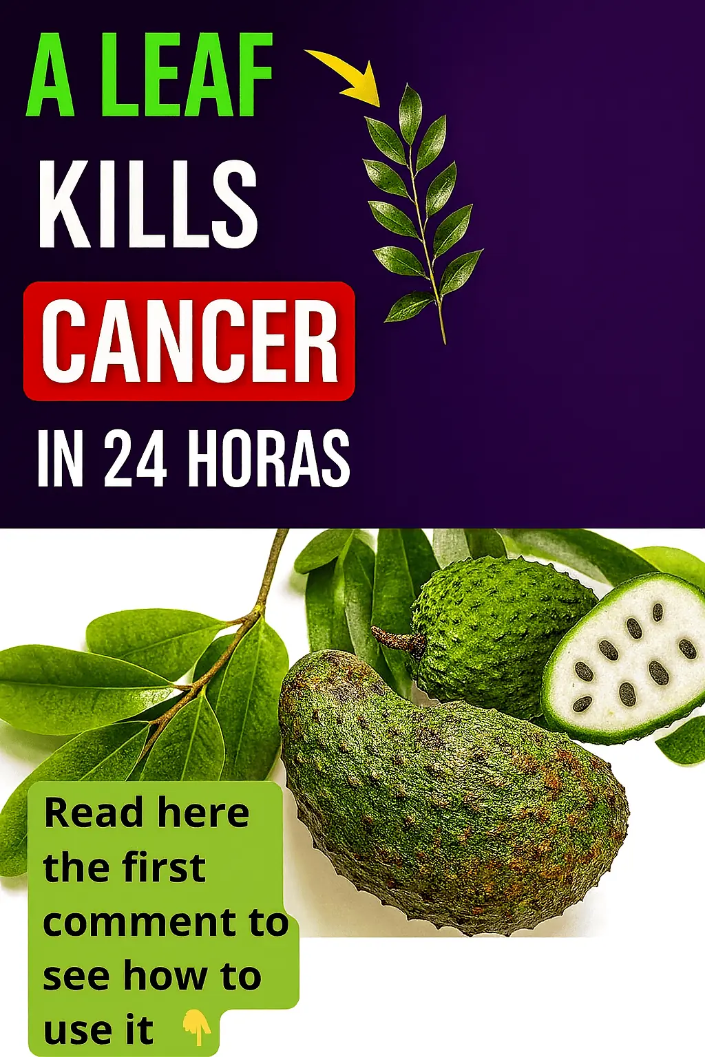The Healing Potential of Soursop: Can It Really Fight Cancer?