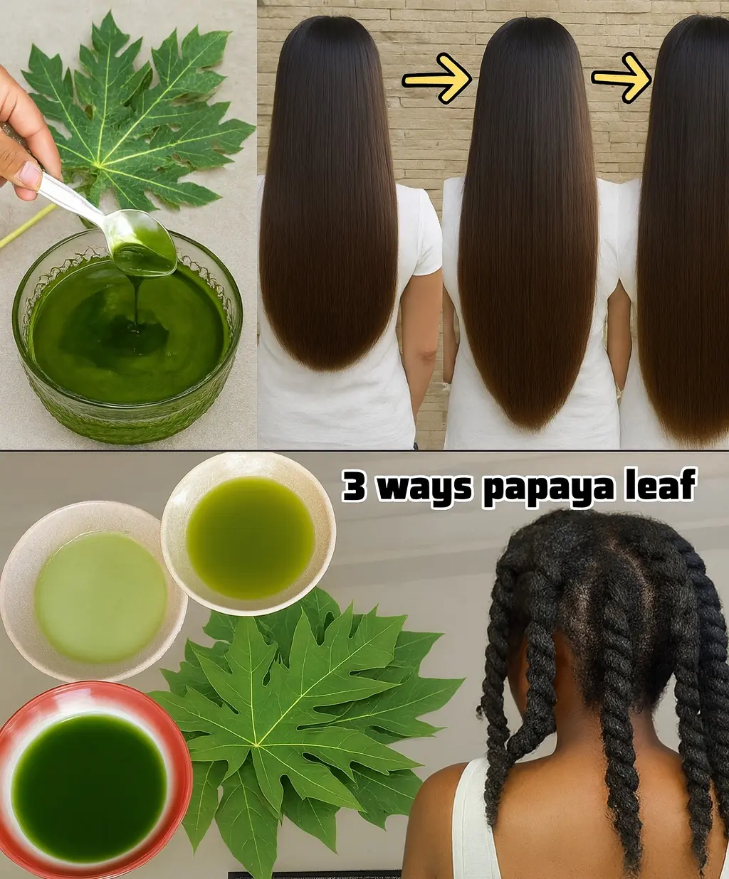 Discover the Secret to Youthful Hair: The Magic of Papaya Leaves!
