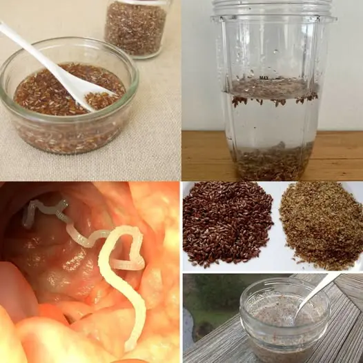 Get Rid of Hidden Intestinal Parasites Quickly and Easily with Flaxseed