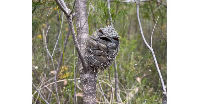 She Thought She Saw A Happy Bird In The Woods, Then Suddenly Realizes Her Mistake