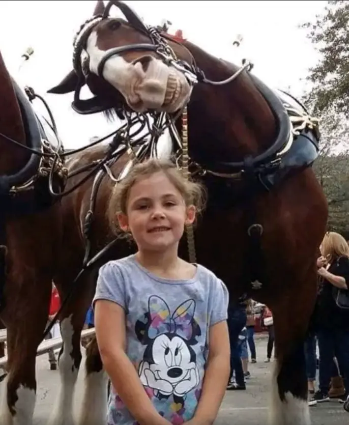 The Horse Who Changed Everything