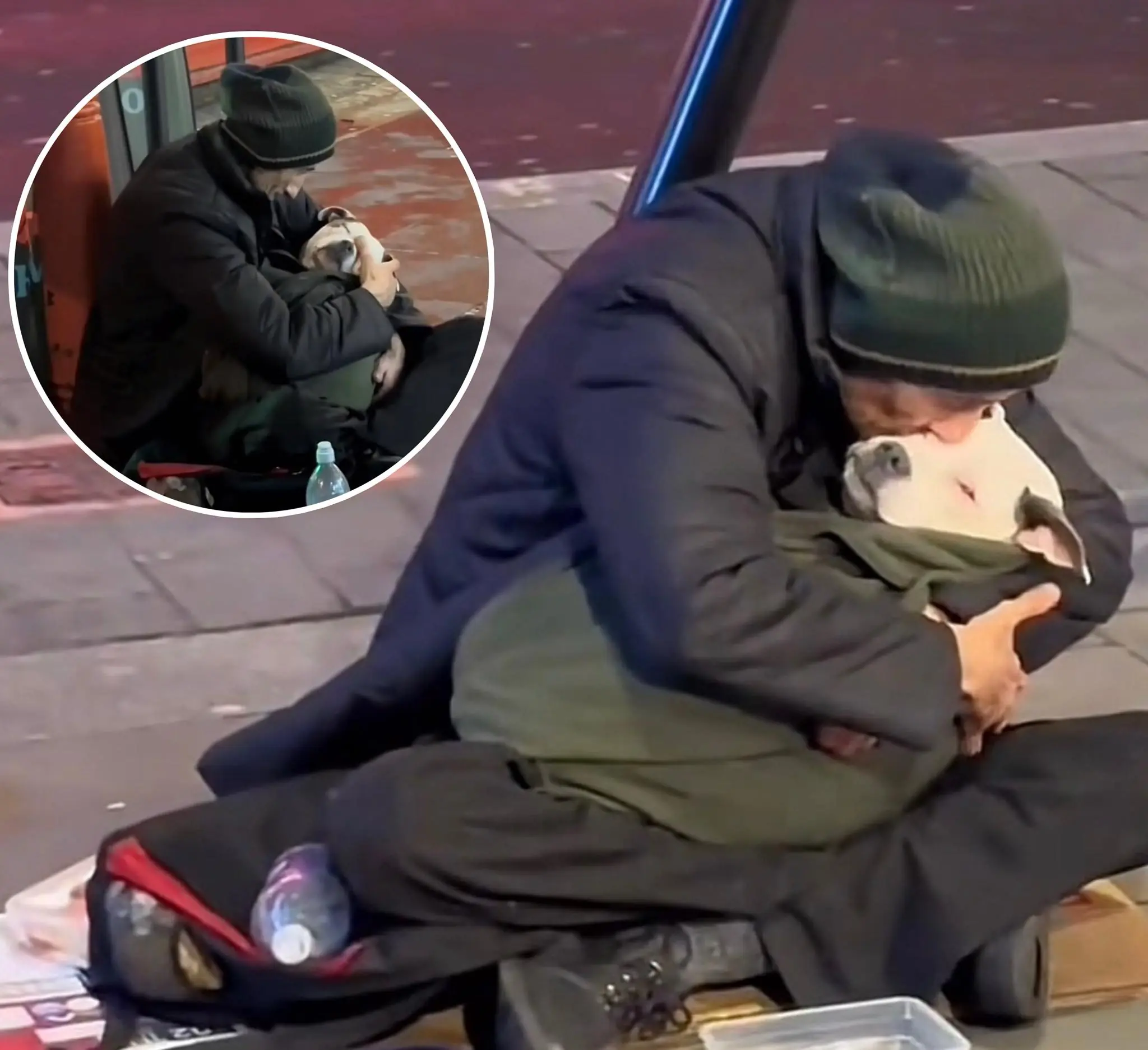 The Homeless Man Who Rocks His Dog to Sleep: A Story of Resilience and Unconditional Love