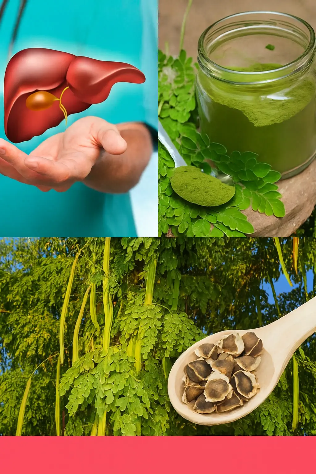 Discover the Magic of Moringa: Transform Your Health with the Miracle Tree