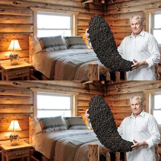 Put Black Pepper Under the Bed: You Won’t Believe What Will Happen