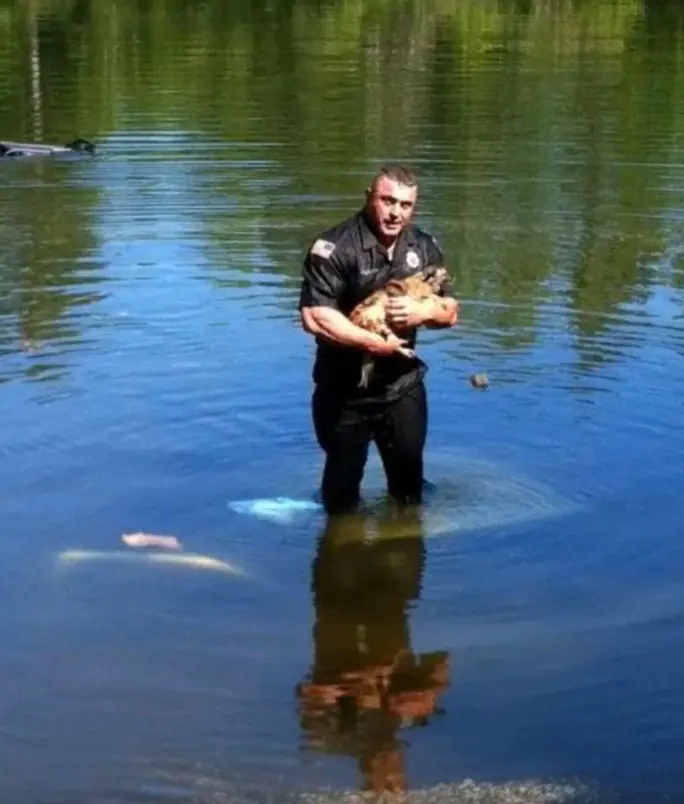The Day Courage Jumped Into The Water