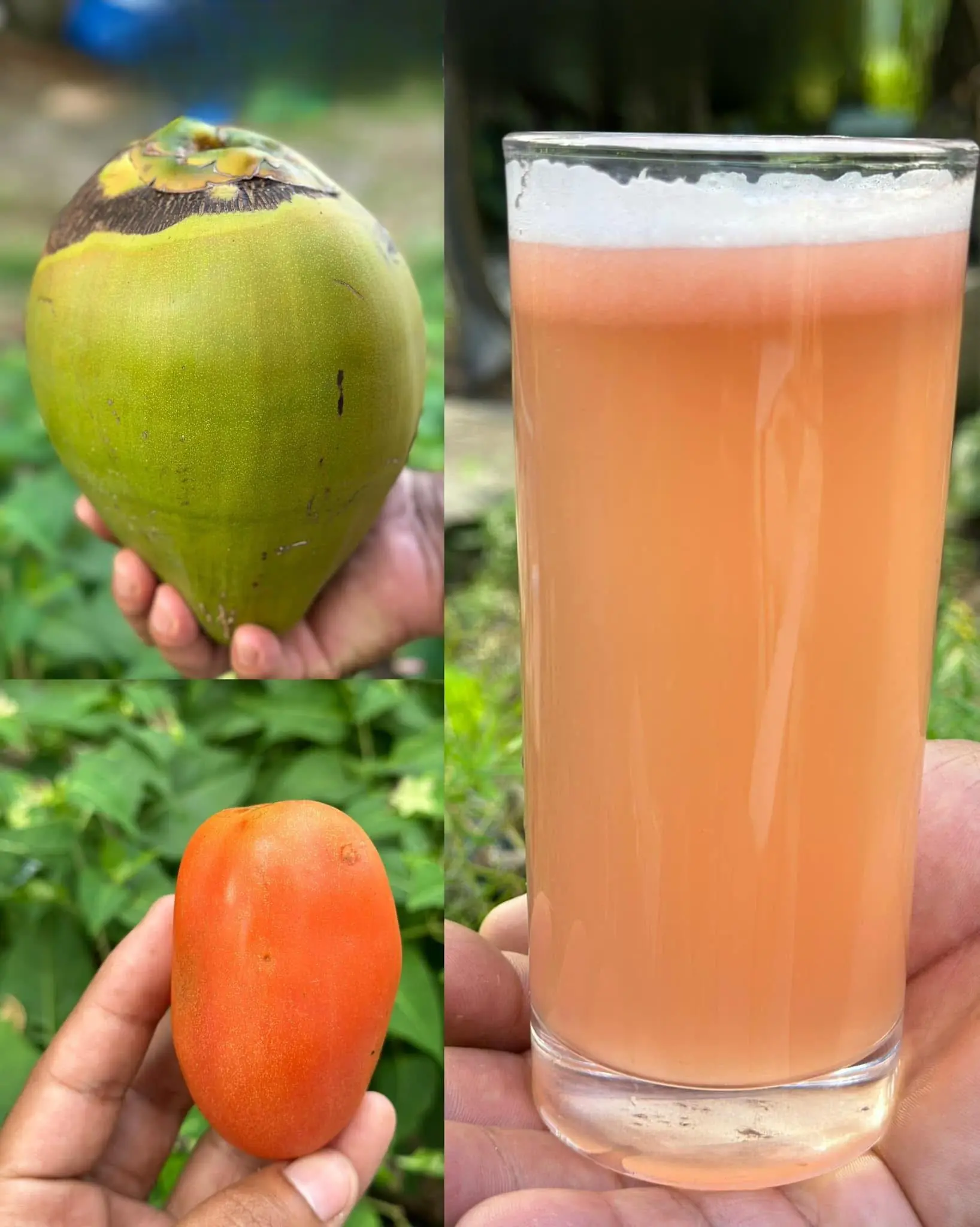 Natural Remedy for Kidney and Prostate Health
