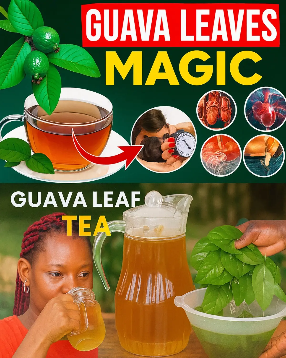 How to Make Guava Leaf Tea + 14 Benefits of Drinking It Daily