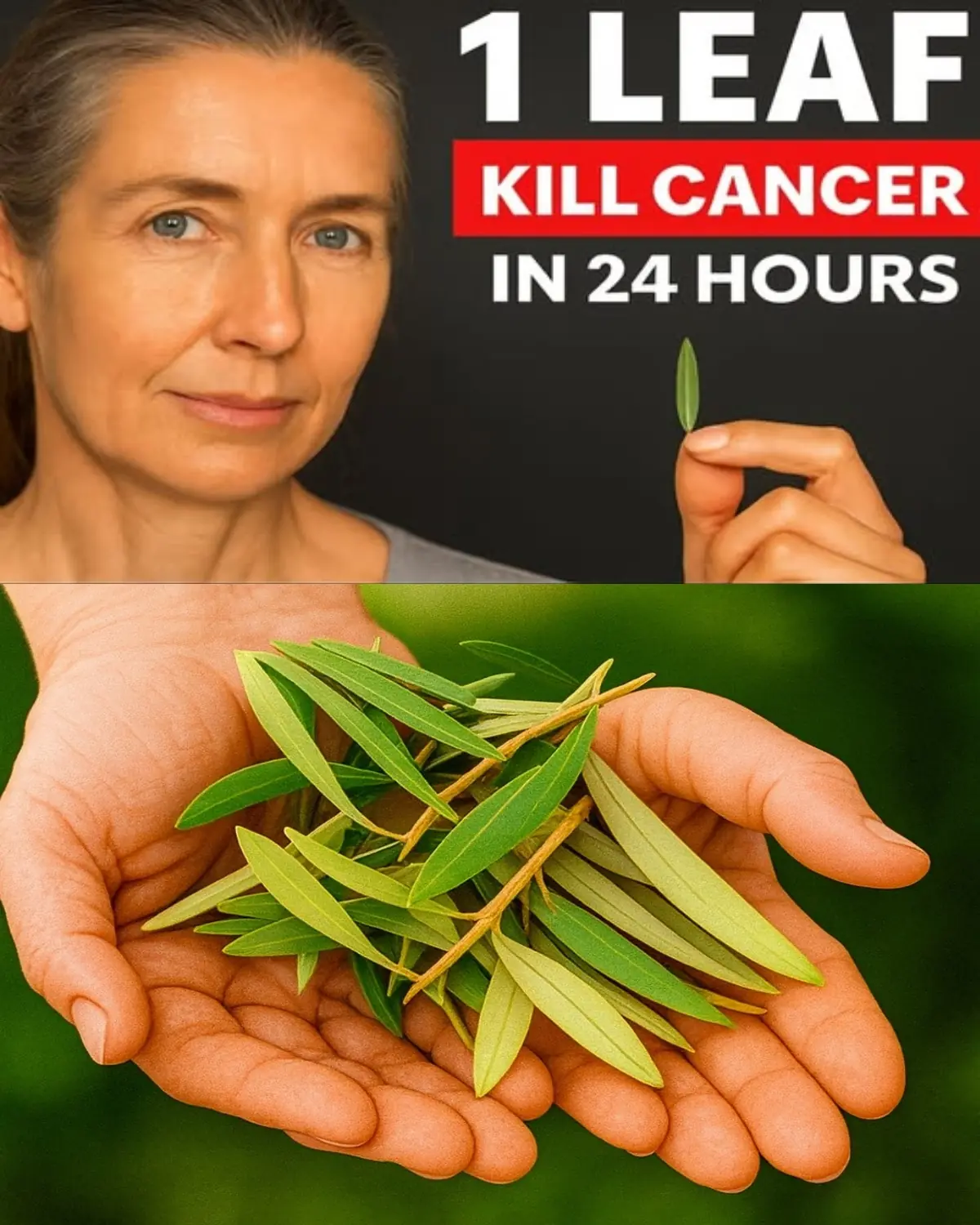 The Cancer-Defying Leaf Doctors Rarely Talk About: Barbara O’Neill’s Secret Discovery