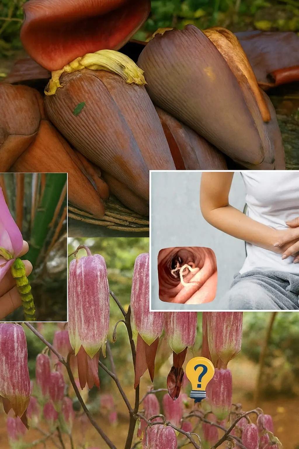 Discover the Secret Superfood: 7 Astonishing Health Benefits of Banana Blossoms You Can’t Ignore