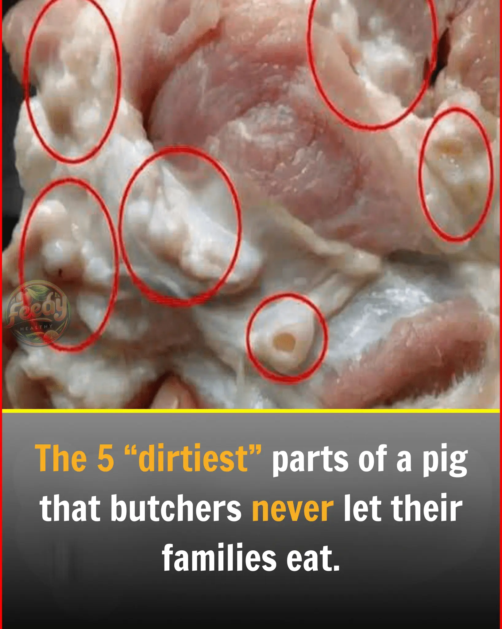5 “Dirtiest” Parts of a Pig That Butchers Never Feed Their Families