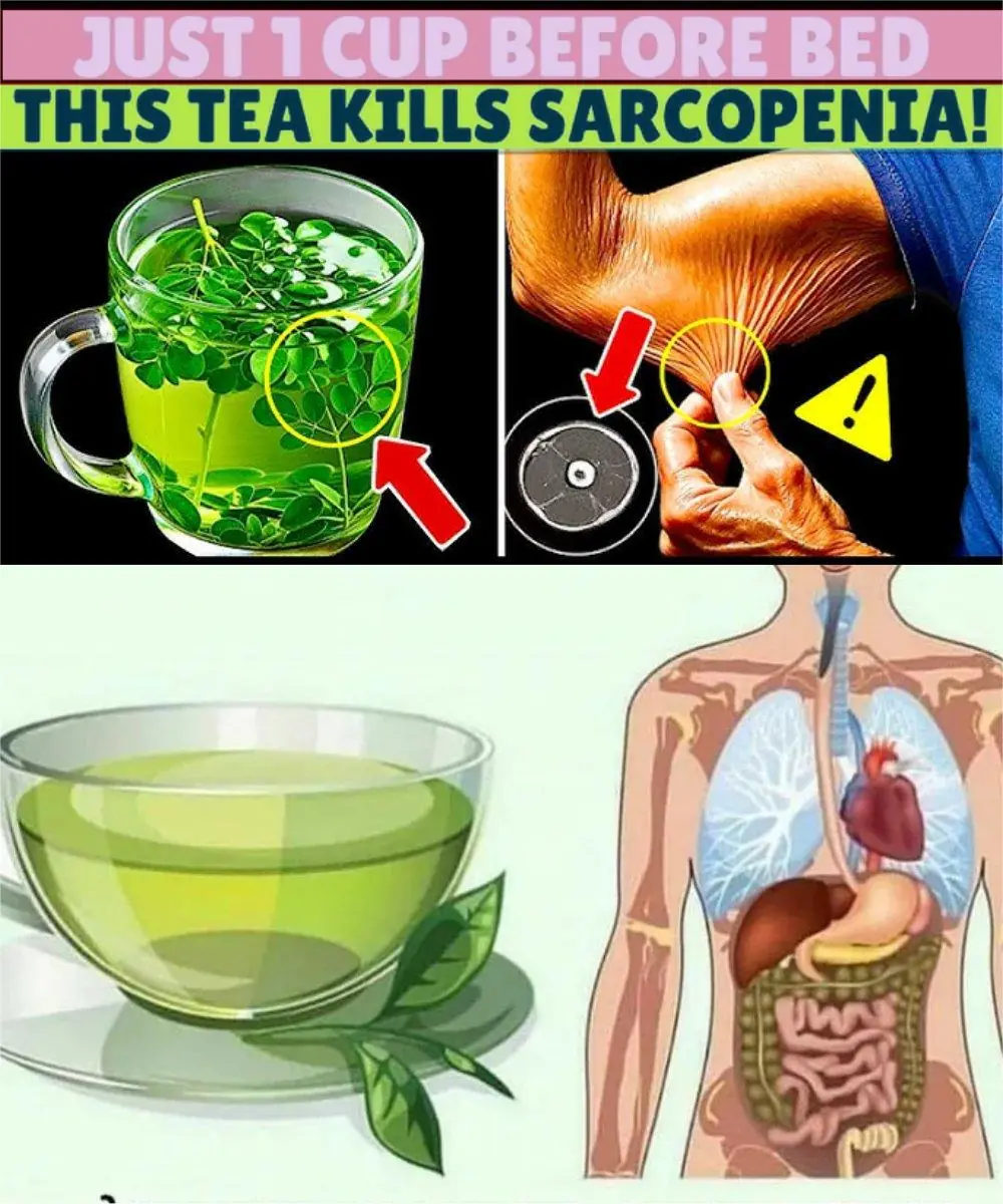 Herbal Teas for Circulation: Gentle Support for Heart & Vitality