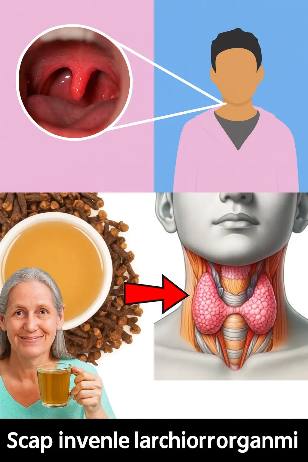 Cloves: The Tiny Spice That Conquers Sore Throats and Inflammation Naturally