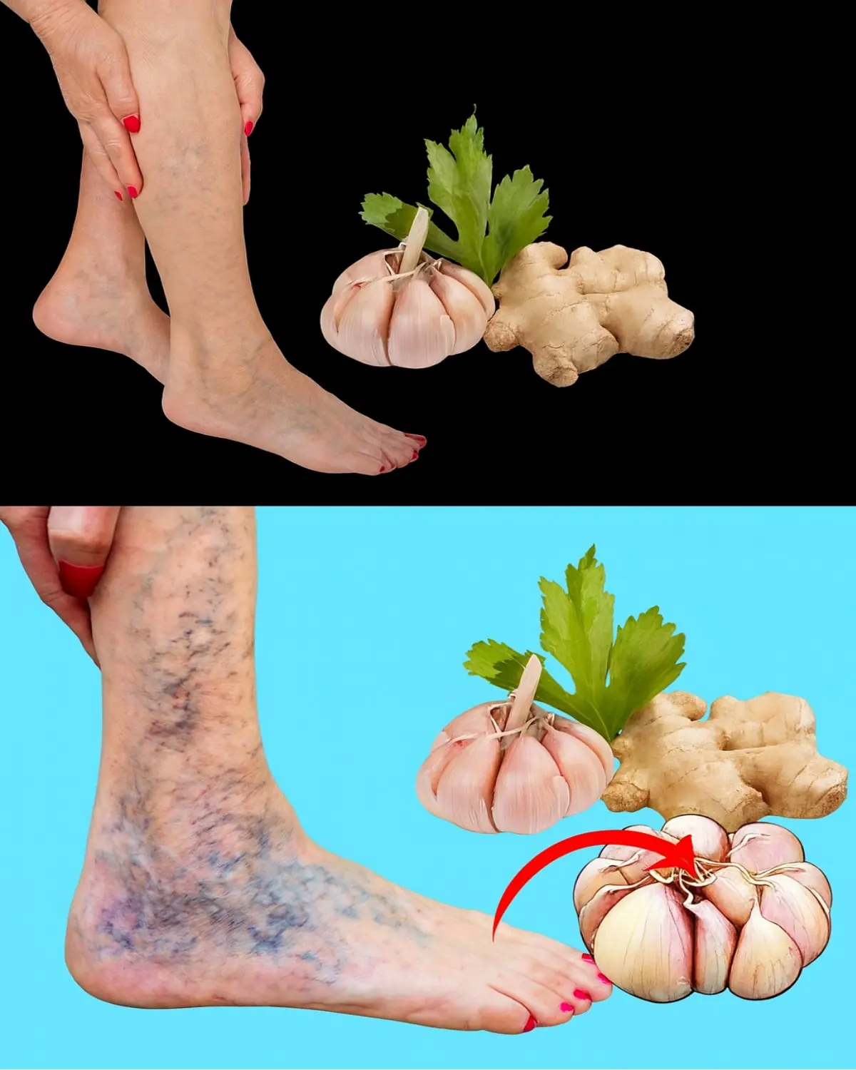Garlic and Ginger – Natural Allies for Circulation and Vein Health