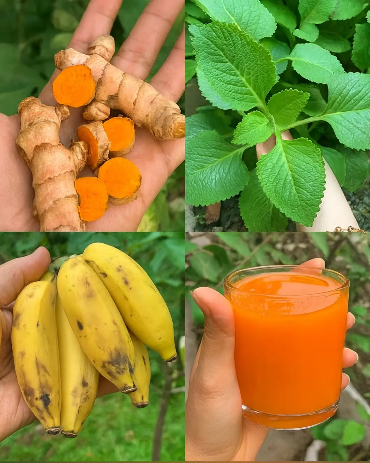 Turmeric, Banana, and Herbal Juice: A Natural Wellness Drink