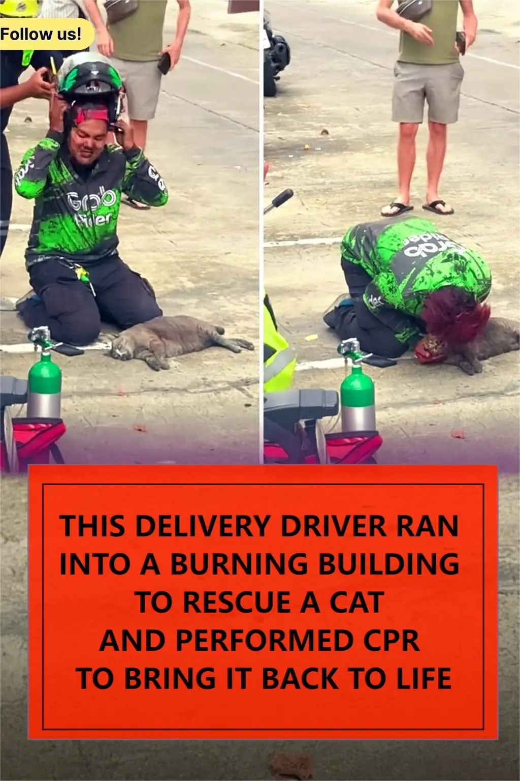 Grab Rider in Bangkok Rescues Cat from Burning Building with Heroic CPR