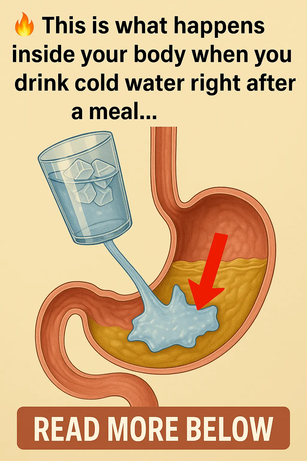 What Really Happens When You Drink Cold Water Right After a Meal?
