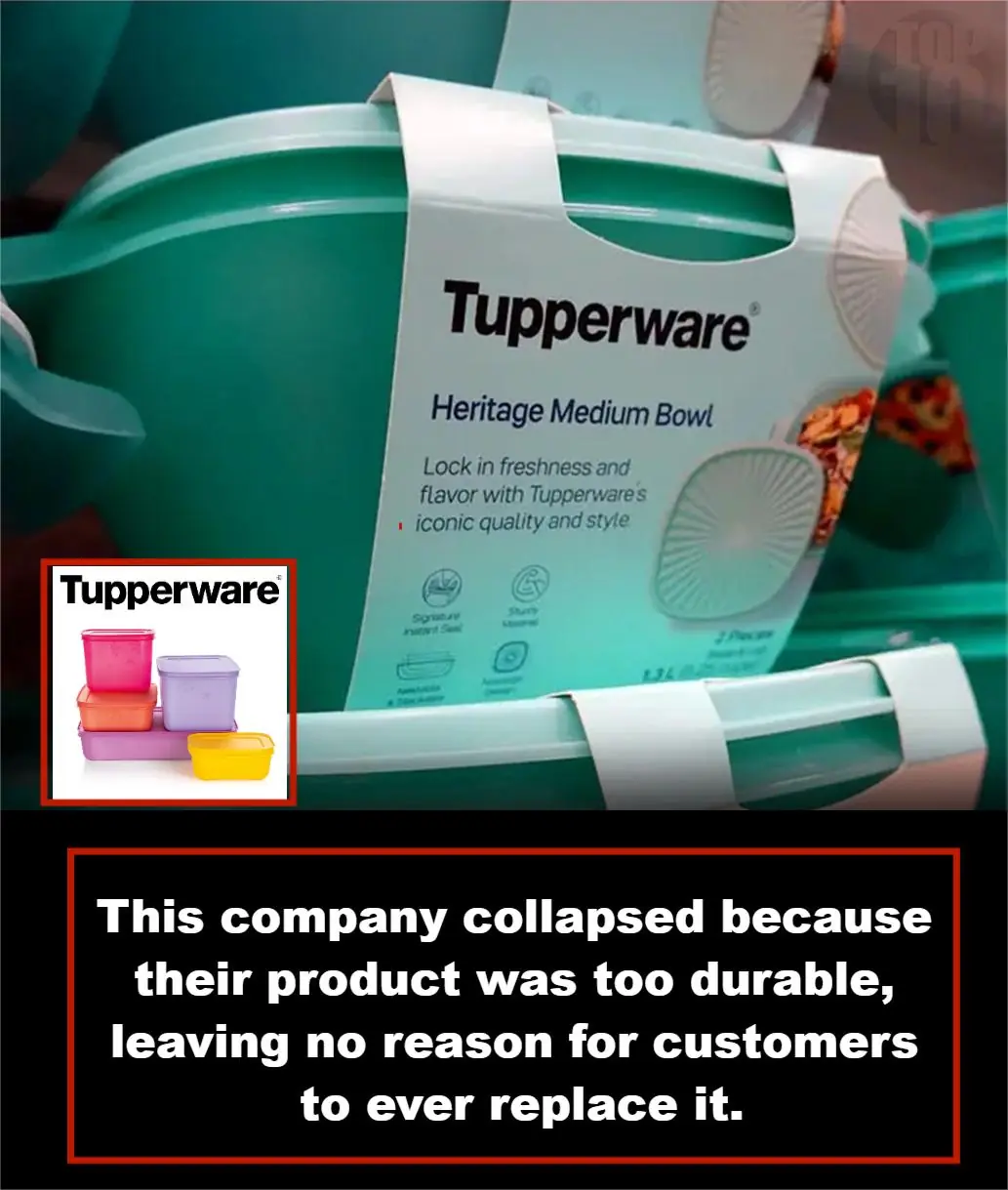 Tupperware’s Strange Demise: When Durability Becomes a Downfall