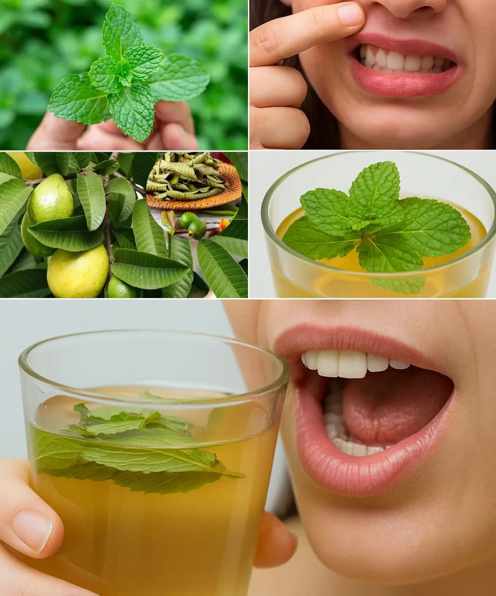 Swollen Gums? Discover the Ancient Secret of Guava and Mint for a Healthier Smile