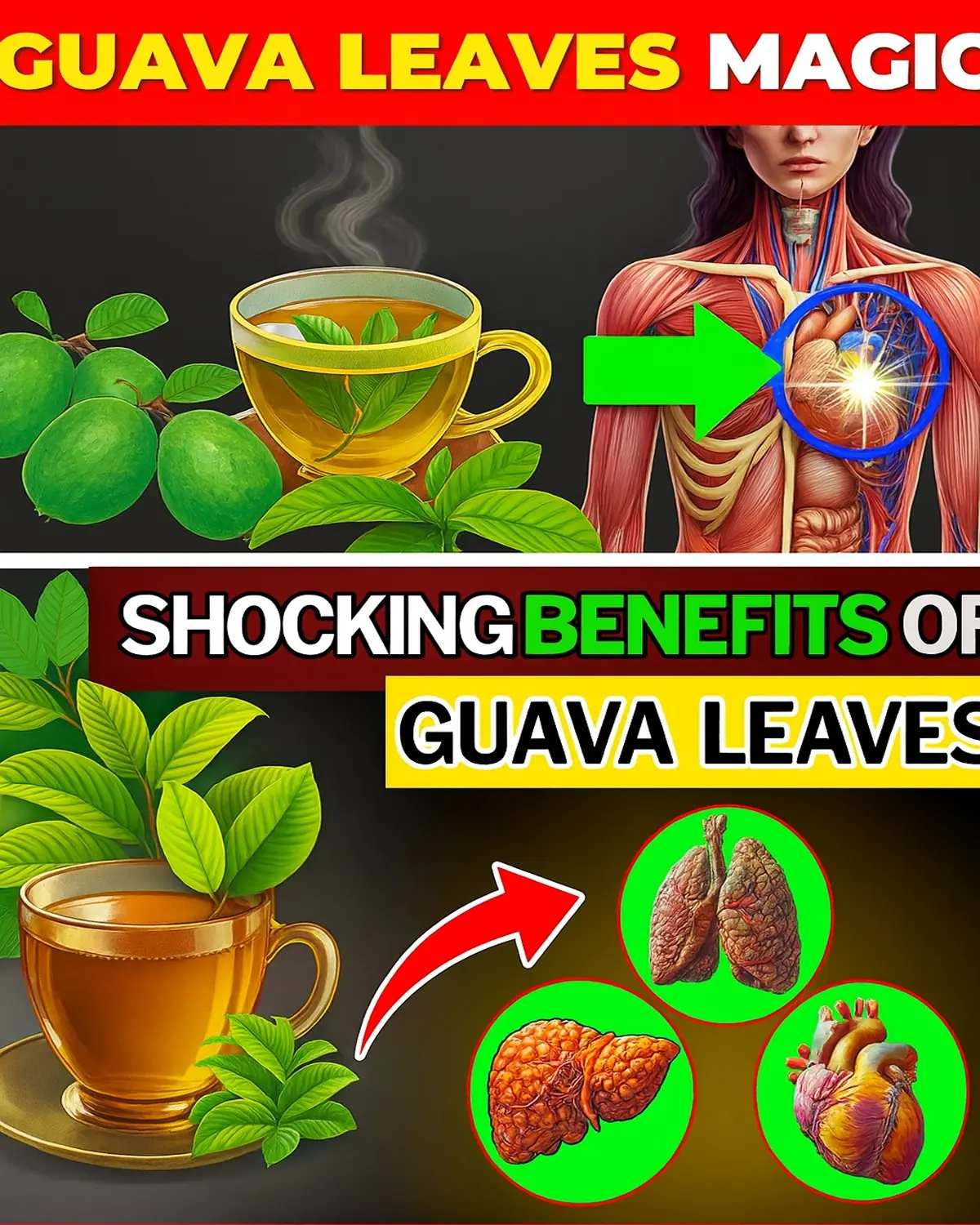 9 Ways Guava Leaf Tea May Boost Your Health