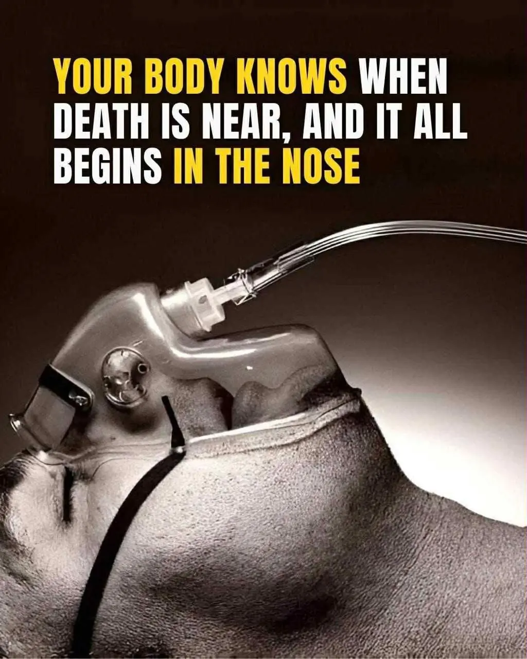 Research Suggests Your Body Knows When Death Is Near — And It Begins With the Nose