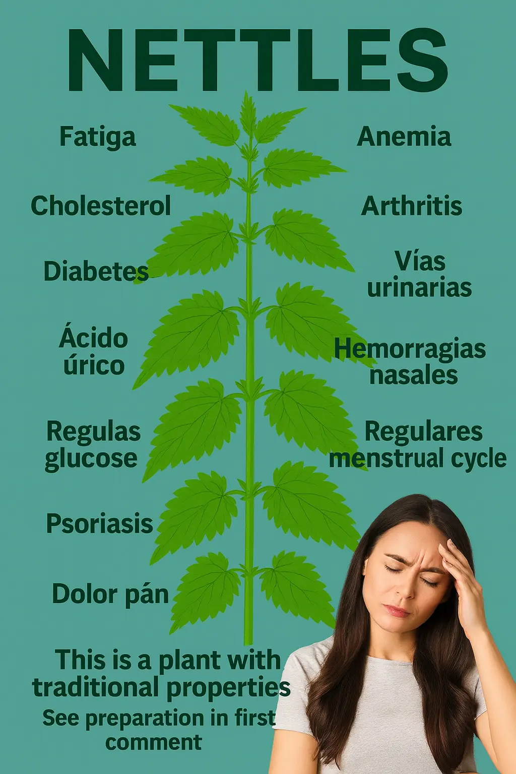 Benefits of Nettle