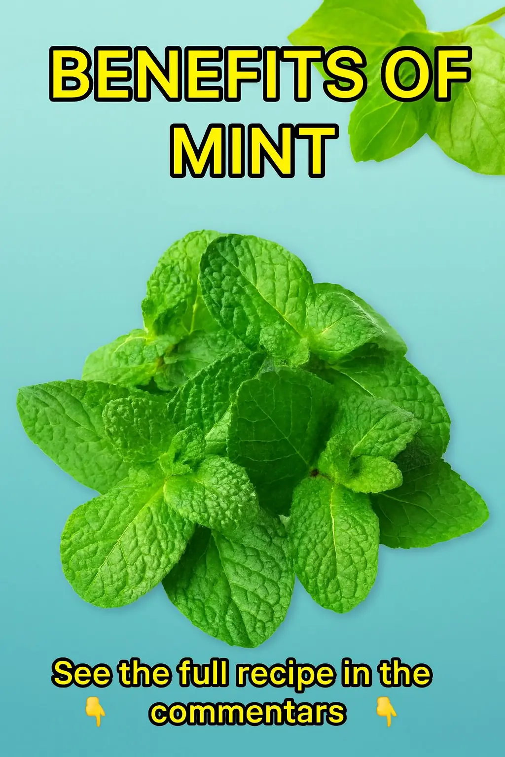 "Benefits of Mint" ✅